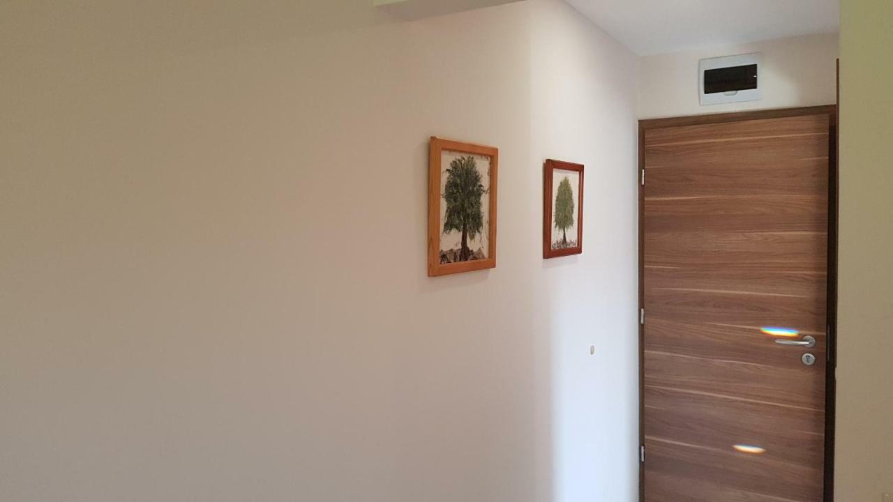Tuenderlak Vendeghaz Apartment Balatonfüred Екстериор снимка